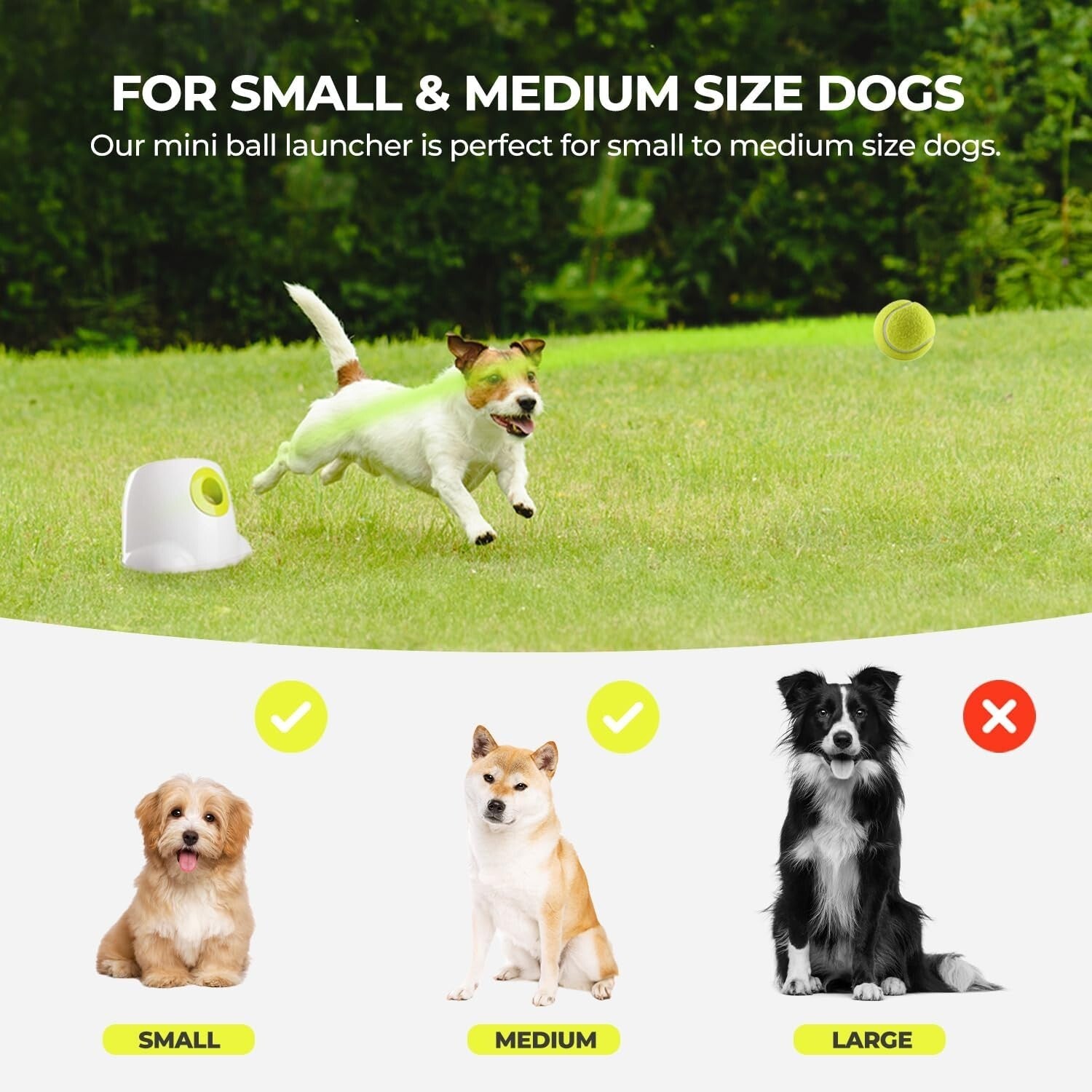 Automatic Dog Ball Launcher - Interactive Tennis Ball Thrower for Dogs