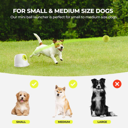 Automatic Dog Ball Launcher - Interactive Tennis Ball Thrower for Dogs