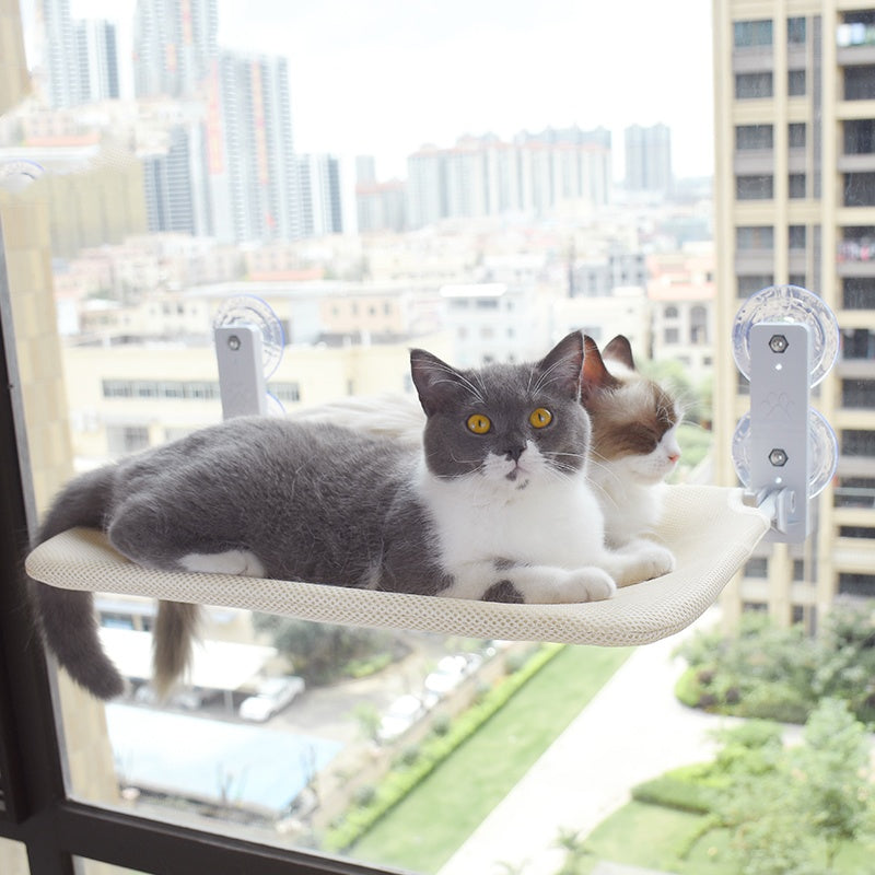 cat suction cup window glass hammock pet cat pets products