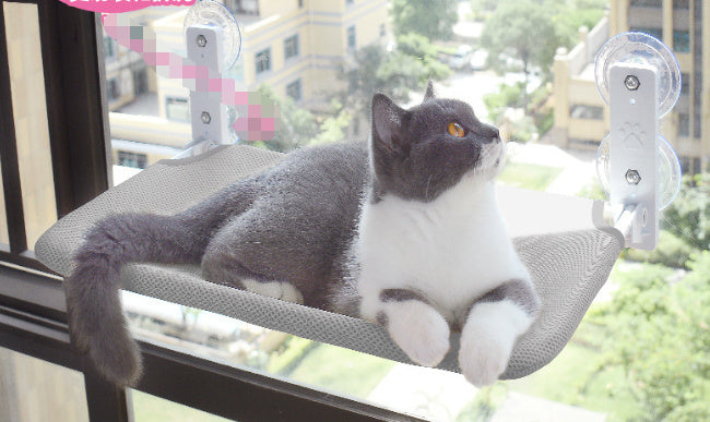 cat suction cup window glass hammock pet cat pets products